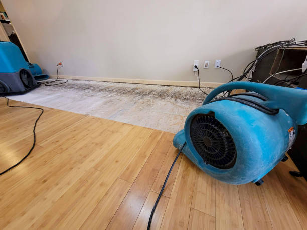 Professional Basement Flood Cleanup technician working in Sells, AZ